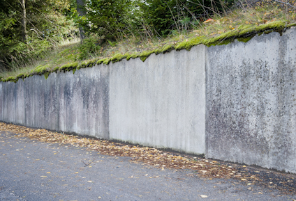 DESINFICERING GRÖNFRI BIOCID