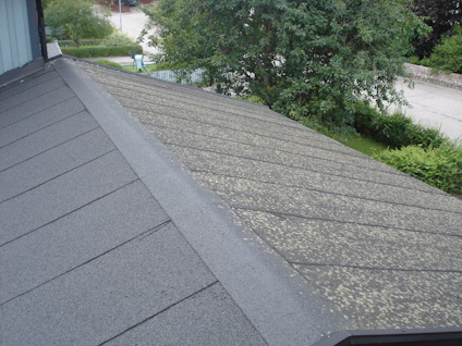 DESINFICERING GRÖNFRI BIOCID