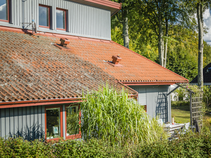 DESINFICERING GRÖNFRI BIOCID