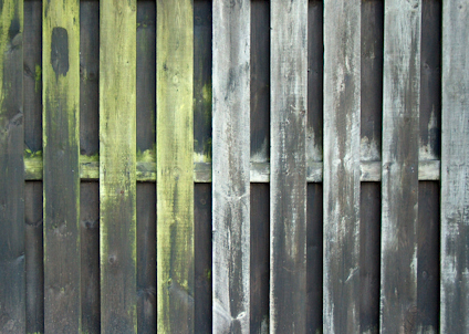 DESINFICERING GRÖNFRI BIOCID