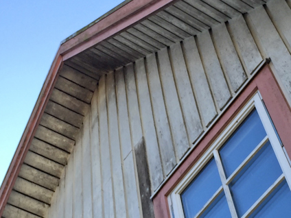 FASADRENGÖRING MÅLARTVÄTT 1L