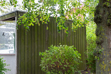 Grönt träd och buske bredvid ett litet hus med gröna trägavlar och en glasvägg till vänster.